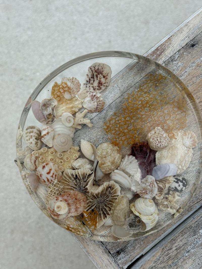 072 Epoxy resin tray