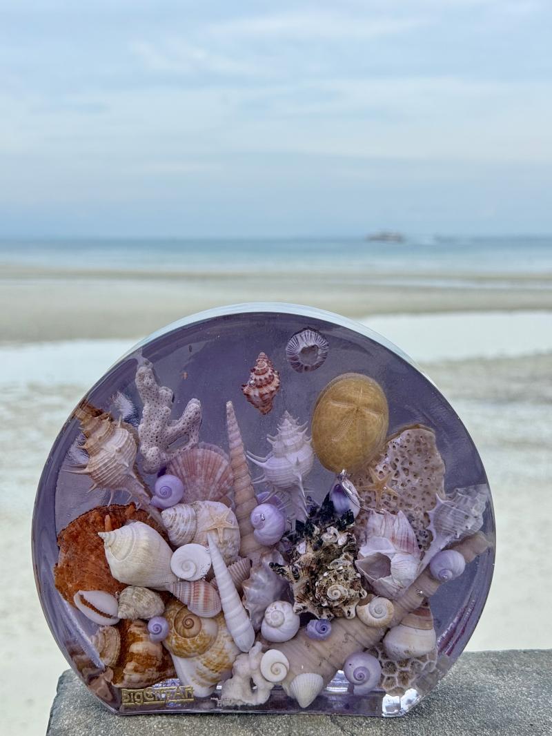 151 Epoxy resin shells art