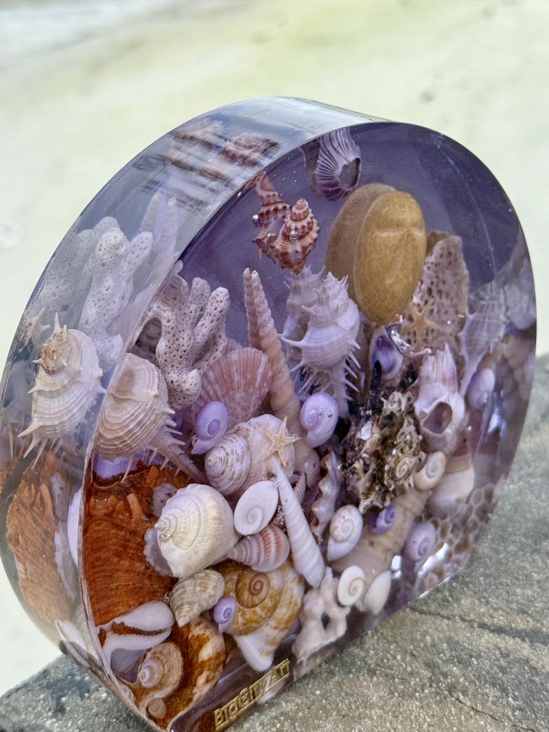 151 Epoxy resin shells art