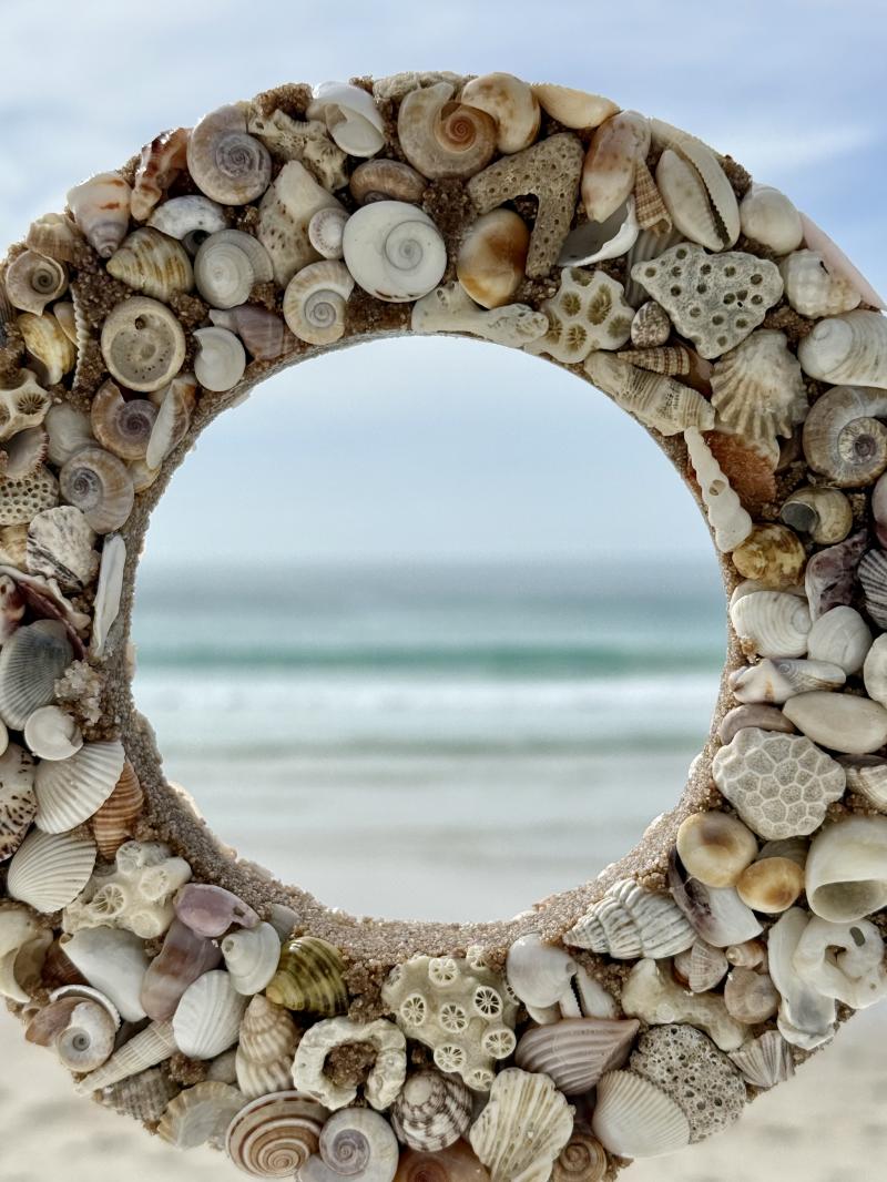 161 Seashells art